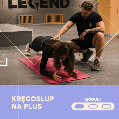 KRĘGOSŁUP NA PLUS: MODUŁ I