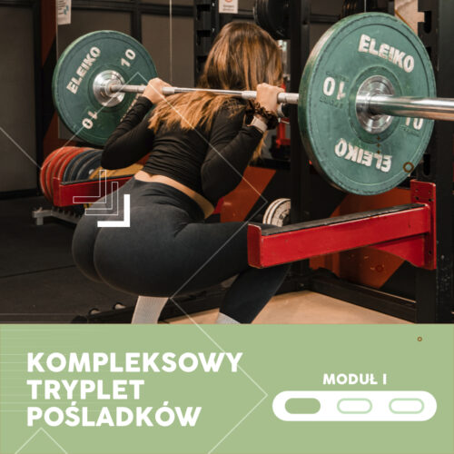 KOMPLEKSOWY TRYPLET POŚLADKÓW: MODUŁ I